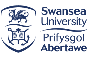 swansea-university-300x200